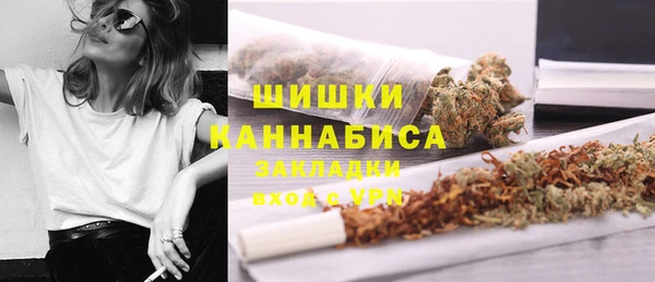 индика Белокуриха