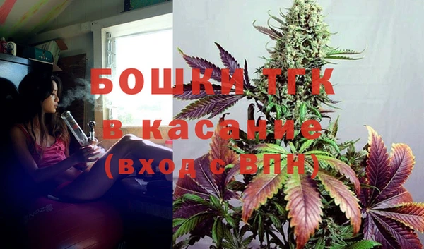 эйфоретик Богданович