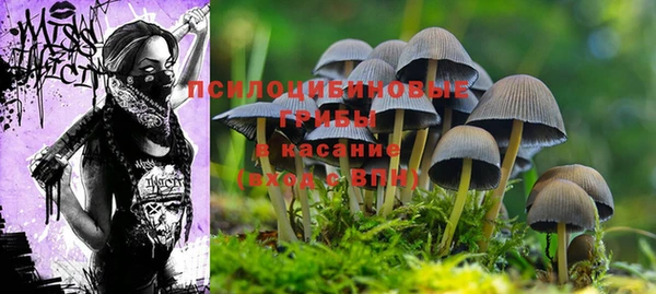 эйфоретик Богданович