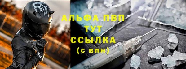 эйфоретик Богданович