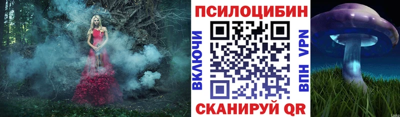 Псилоцибиновые грибы Magic Shrooms Бежецк