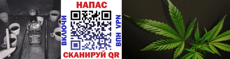 Бошки марихуана ГИДРОПОН наркошоп дарк нет состав Бежецк